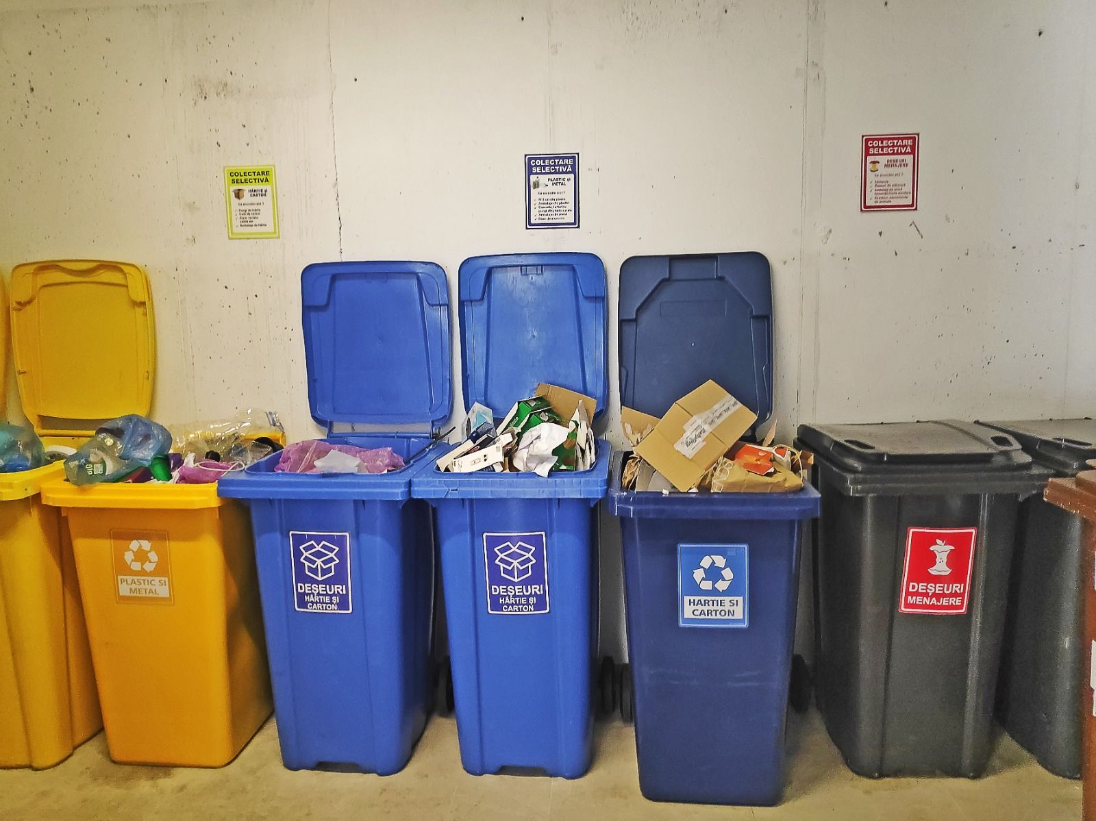 Arată că îți pasă, colectează separat deșeurile! Programul de colectare a deșeurilor în Sectorul 1